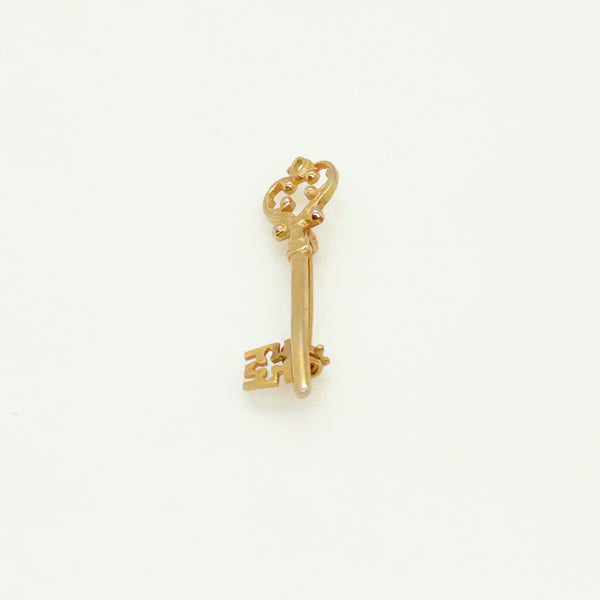 Exquisite Tiny Vintage Key Brooch