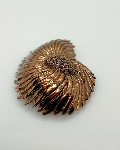 Compelling Vintage Tortolani Copper Toned Shell Brooch